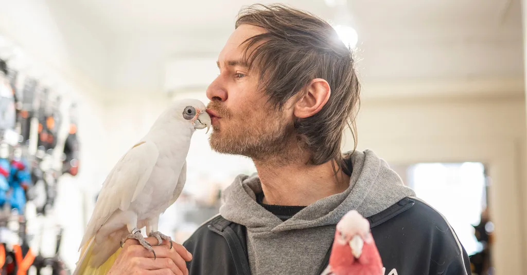 Ted Edlund med en av sina kakaduor i butiken.